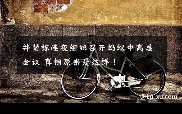 井贤栋连夜组织召开蚂蚁中高层会议 真相原来是这样！