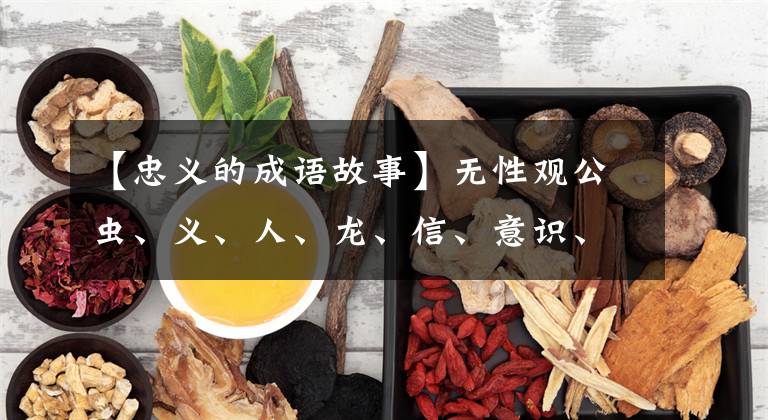 【忠义的成语故事】无性观公虫、义、人、龙、信、意识、智慧的故事
