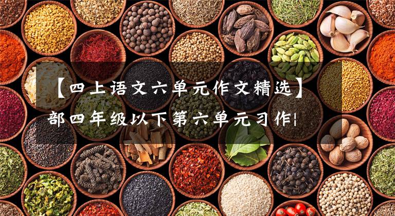 【四上语文六单元作文精选】部四年级以下第六单元习作| 《我学会了____》写作方法范文评论
