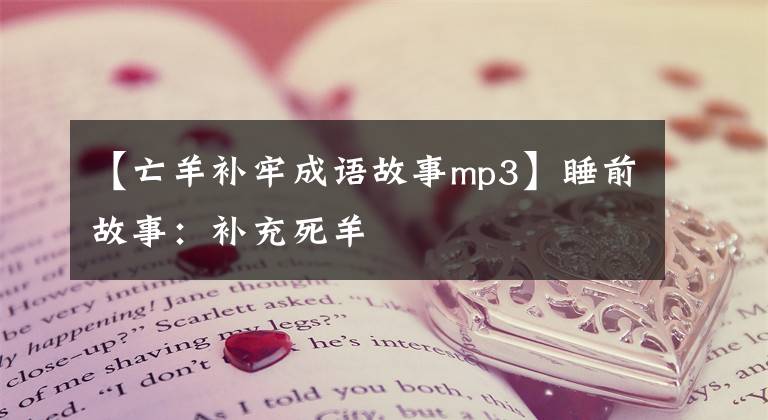 【亡羊补牢成语故事mp3】睡前故事：补充死羊