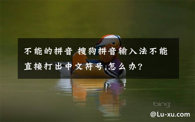 不能的拼音 搜狗拼音输入法不能直接打出中文符号,怎么办?