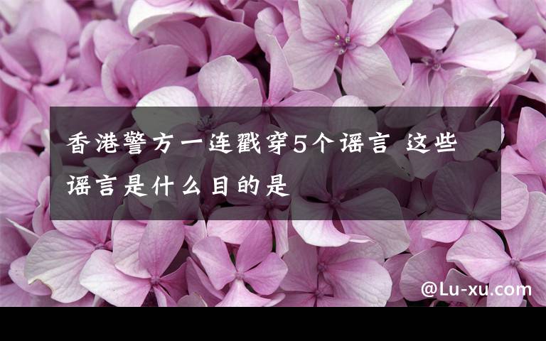 香港警方一连戳穿5个谣言 这些谣言是什么目的是