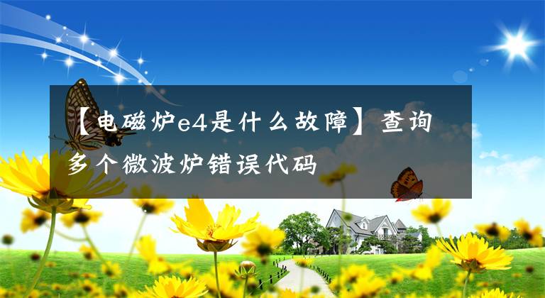 【电磁炉e4是什么故障】查询多个微波炉错误代码
