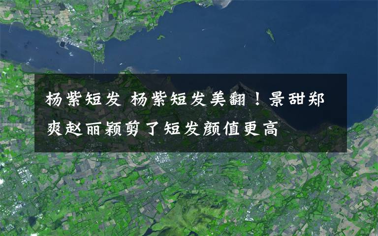 杨紫短发 杨紫短发美翻！景甜郑爽赵丽颖剪了短发颜值更高