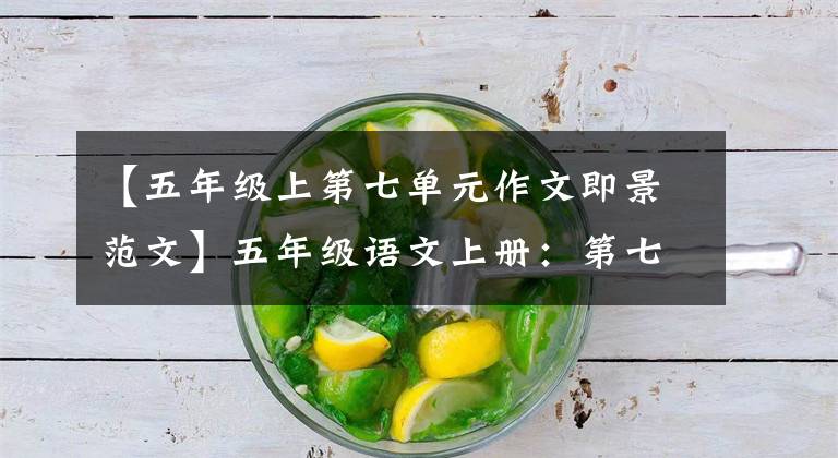 【五年级上第七单元作文即景范文】五年级语文上册：第七单元习作《——即景》优秀范文7篇