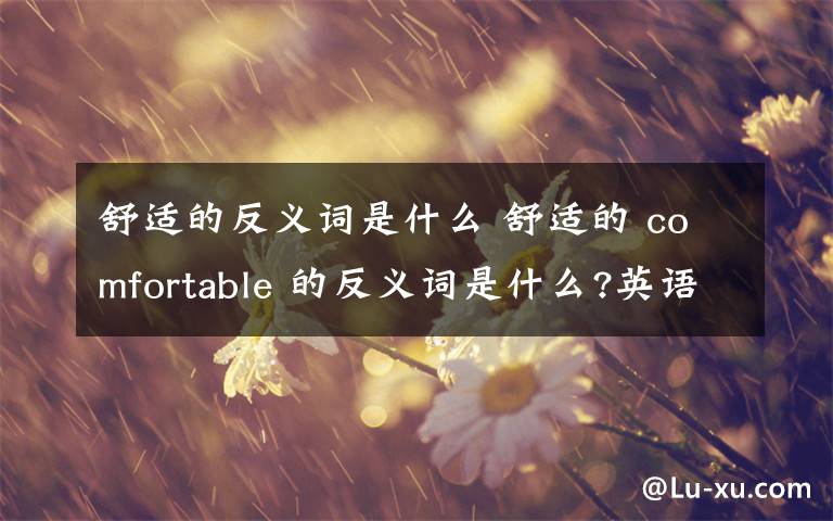 舒适的反义词是什么 舒适的 comfortable 的反义词是什么?英语 快