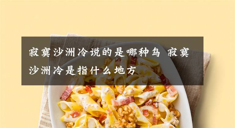 寂寞沙洲冷说的是哪种鸟 寂寞沙洲冷是指什么地方