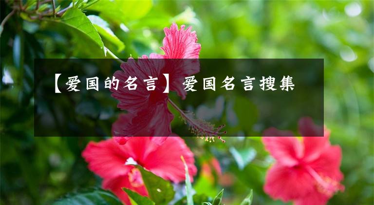 【爱国的名言】爱国名言搜集