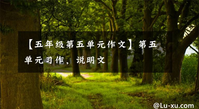 【五年级第五单元作文】第五单元习作，说明文