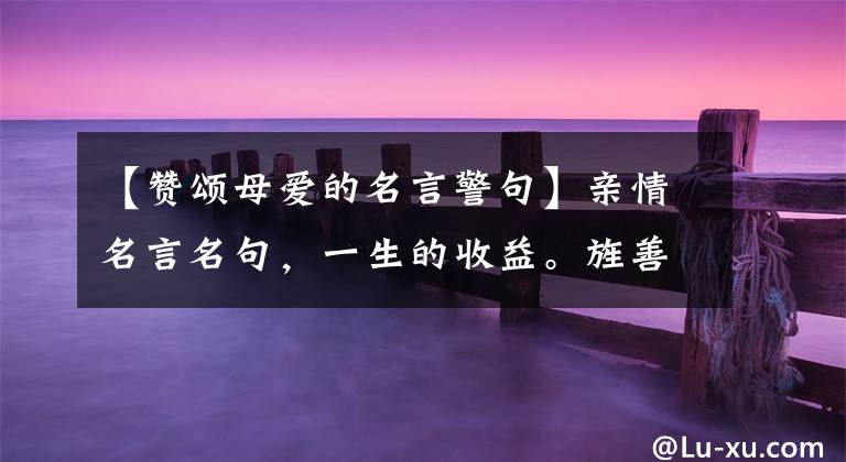 【赞颂母爱的名言警句】亲情名言名句，一生的收益。旌善28区