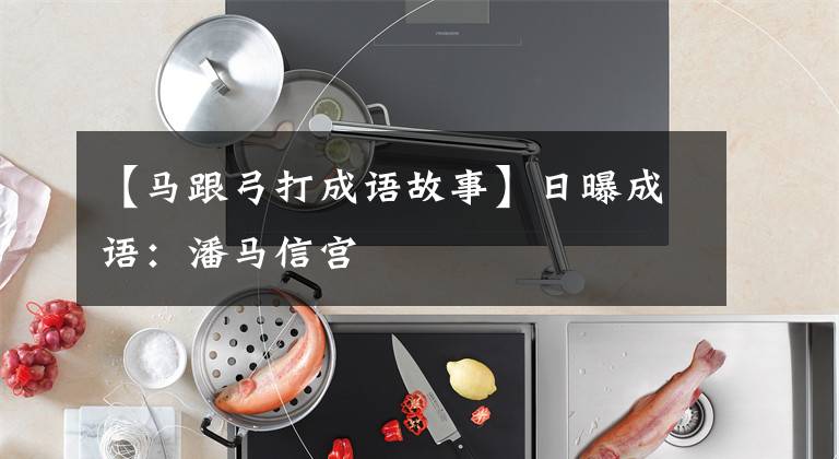 【马跟弓打成语故事】日曝成语：潘马信宫