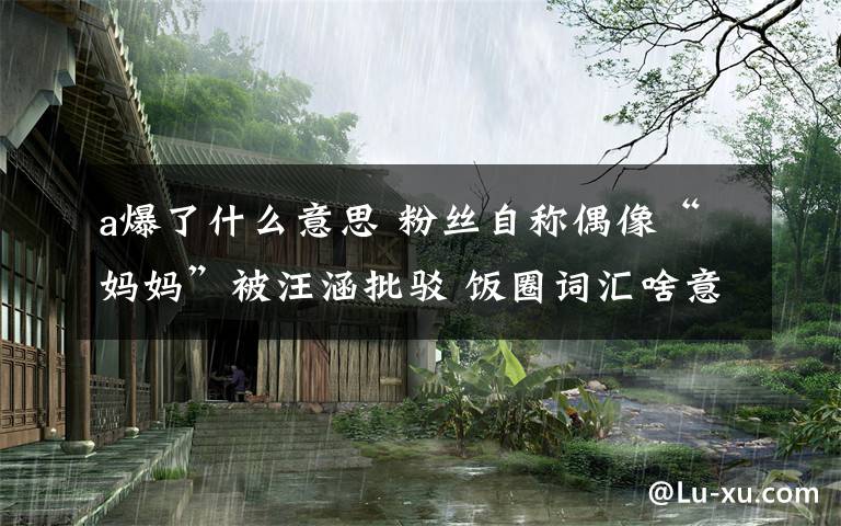 a爆了什么意思 粉丝自称偶像“妈妈”被汪涵批驳 饭圈词汇啥意思？