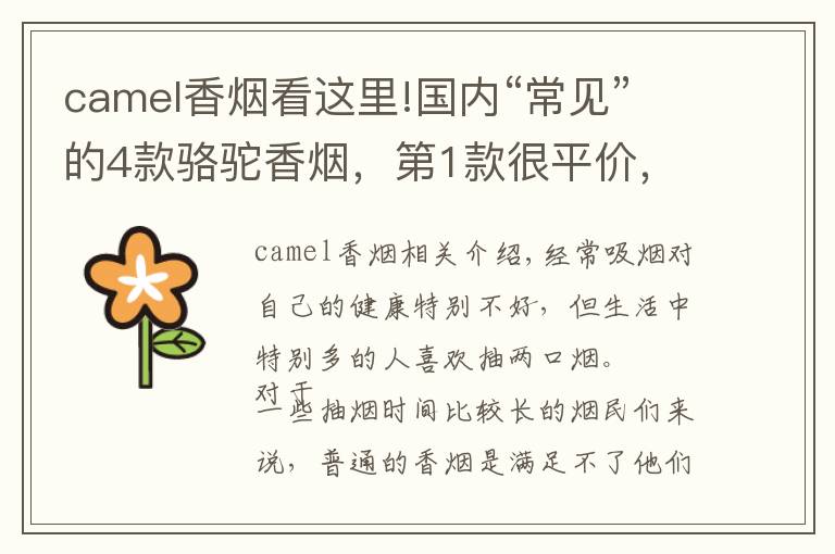 camel香烟看这里!国内“常见”的4款骆驼香烟，第1款很平价，第2款很难找到