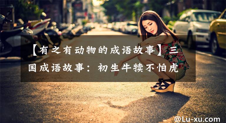【有之有动物的成语故事】三国成语故事：初生牛犊不怕虎