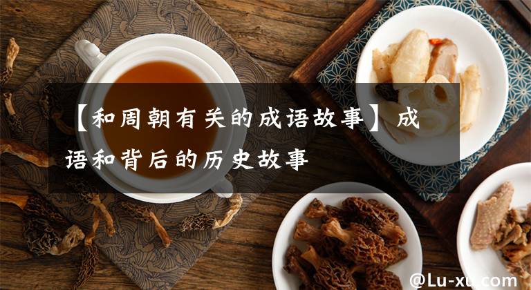 【和周朝有关的成语故事】成语和背后的历史故事