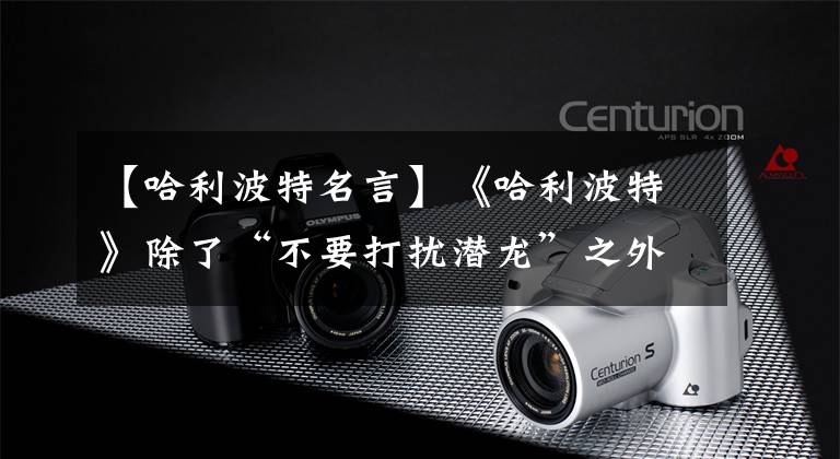 【哈利波特名言】《哈利波特》除了“不要打扰潜龙”之外，还有什么意义深远的格言？
