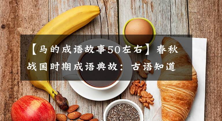 【马的成语故事50左右】春秋战国时期成语典故：古语知道路。