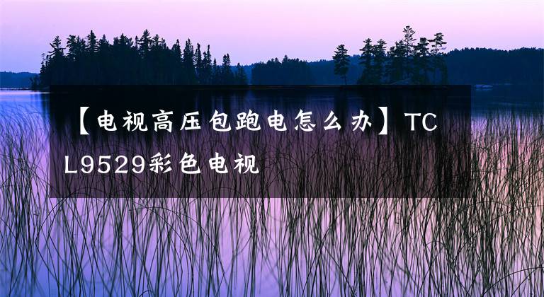 【电视高压包跑电怎么办】TCL9529彩色电视