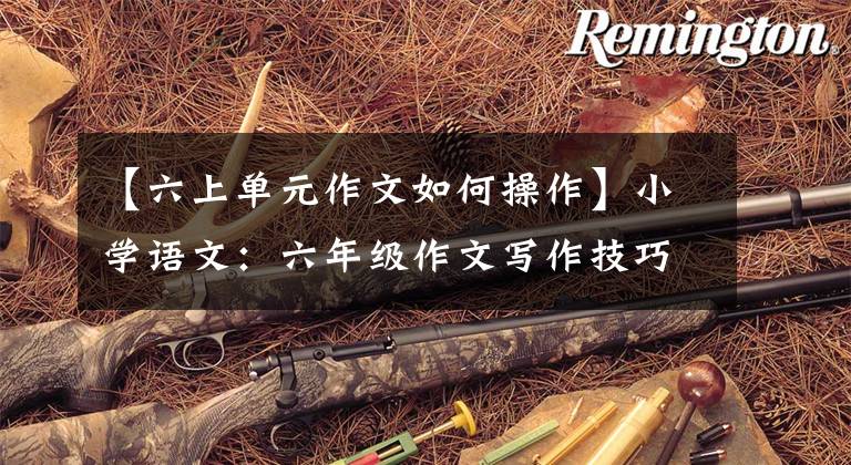 【六上单元作文如何操作】小学语文：六年级作文写作技巧的详细说明、副记者优秀范文及名词评论！