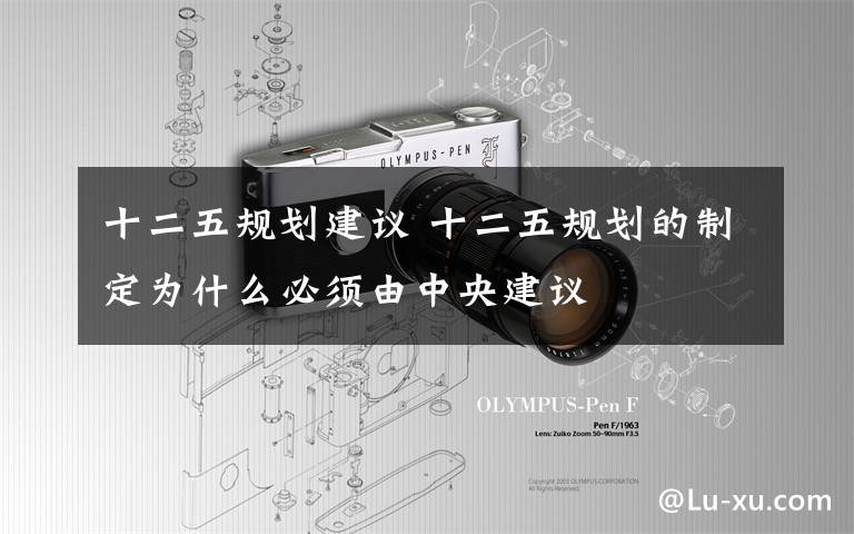 十二五规划建议 十二五规划的制定为什么必须由中央建议