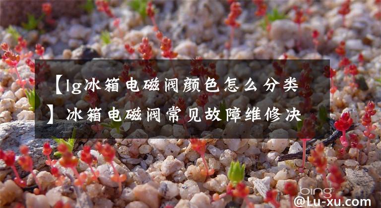 【lg冰箱电磁阀颜色怎么分类】冰箱电磁阀常见故障维修决策