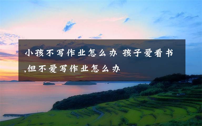 小孩不写作业怎么办 孩子爱看书,但不爱写作业怎么办