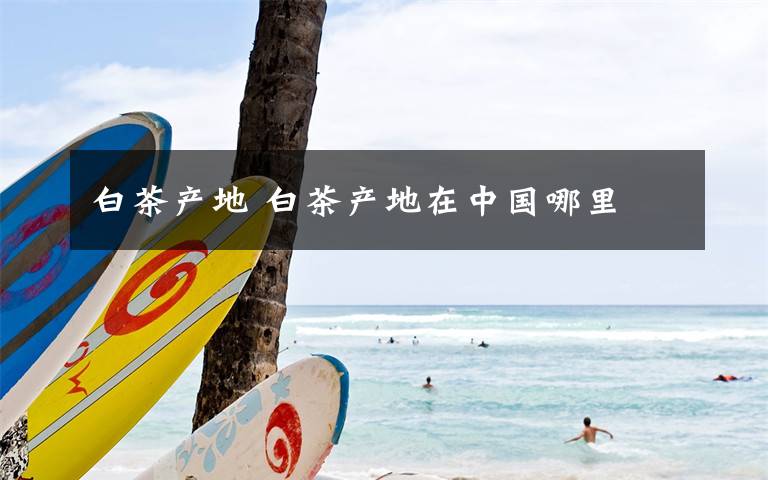 白茶产地 白茶产地在中国哪里