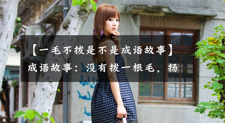 【一毛不拔是不是成语故事】成语故事：没有拔一根毛，扬州学说主张什么？墨子主张什么？
