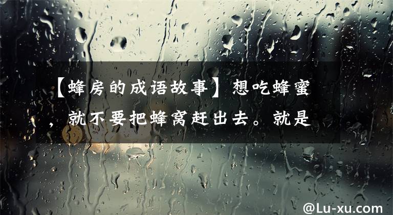 【蜂房的成语故事】想吃蜂蜜，就不要把蜂窝赶出去。就是这样。