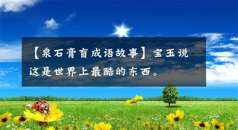 【泉石膏盲成语故事】宝玉说这是世界上最酷的东西。