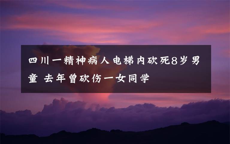 四川一精神病人电梯内砍死8岁男童 去年曾砍伤一女同学