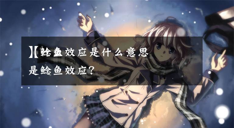 【鲶鱼效应是什么意思】什么是鲶鱼效应？
