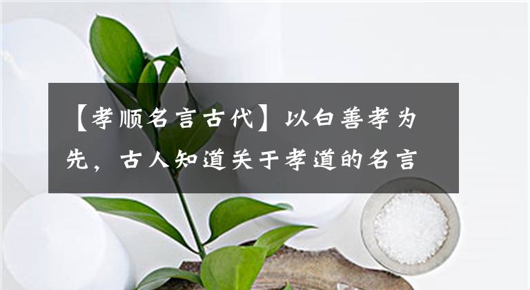【孝顺名言古代】以白善孝为先，古人知道关于孝道的名言吗？