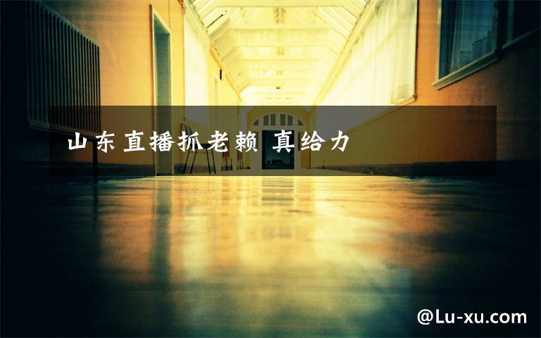 山东直播抓老赖 真给力