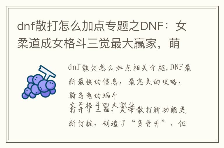 dnf散打怎么加点专题之DNF：女柔道成女格斗三觉最大赢家，萌新入门技能加点分析推荐