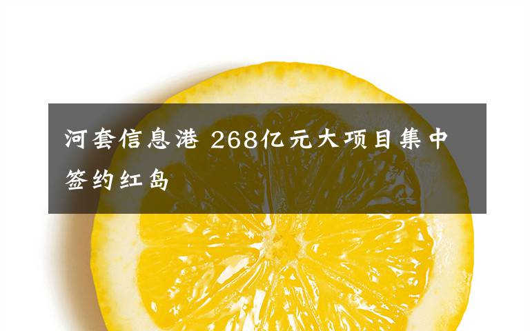 河套信息港 268亿元大项目集中签约红岛