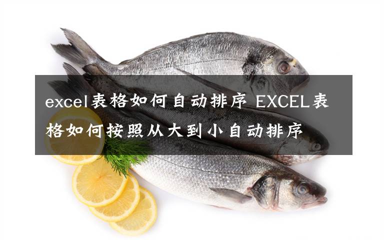 excel表格如何自动排序 EXCEL表格如何按照从大到小自动排序