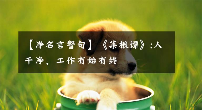 【净名言警句】《菜根谭》:人干净，工作有始有终