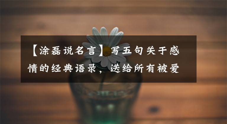 【涂磊说名言】写五句关于感情的经典语录，送给所有被爱情迷惑的女人