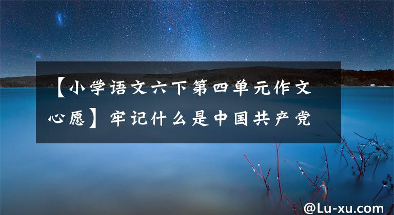 【小学语文六下第四单元作文心愿】牢记什么是中国共产党，应该做什么这一根本问题