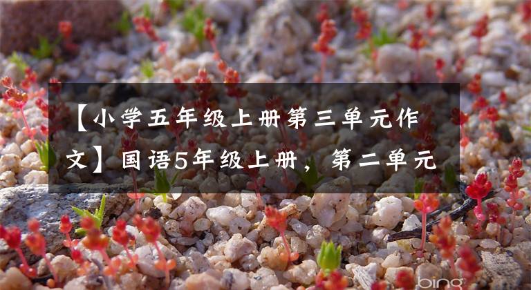 【小学五年级上册第三单元作文】国语5年级上册，第二单元学检查权，单元练习