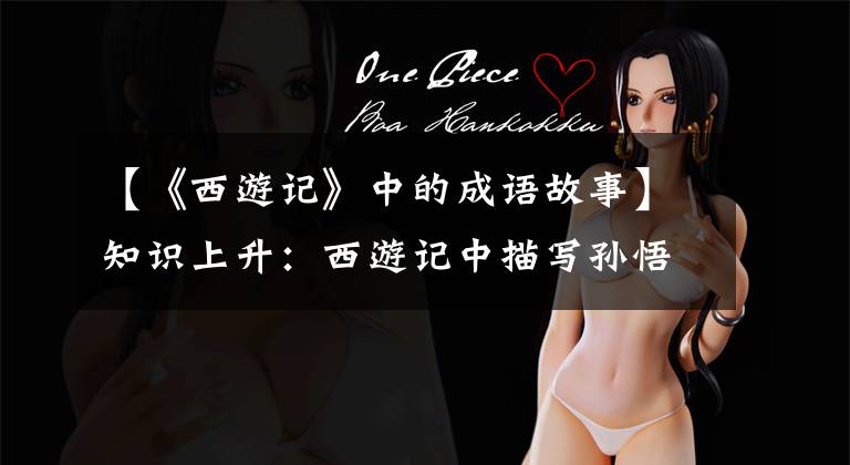 【《西游记》中的成语故事】知识上升：西游记中描写孙悟空的成语故事