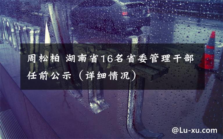 周松柏 湖南省16名省委管理干部任前公示（详细情况）