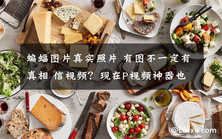 蝙蝠图片真实照片 有图不一定有真相 信视频？现在P视频神器也来了