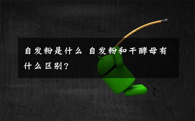 自发粉是什么 自发粉和干酵母有什么区别?