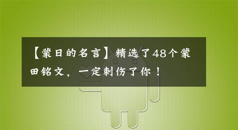【蒙日的名言】精选了48个蒙田铭文，一定刺伤了你！