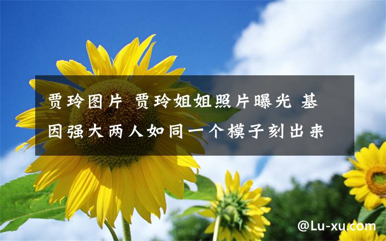 贾玲图片 贾玲姐姐照片曝光 基因强大两人如同一个模子刻出来的！