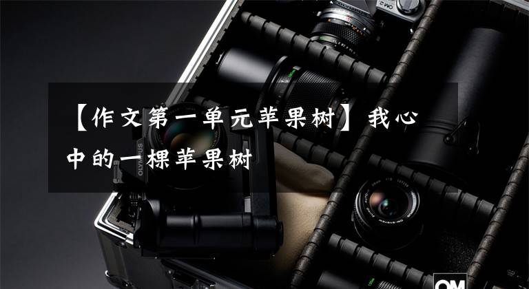 【作文第一单元苹果树】我心中的一棵苹果树