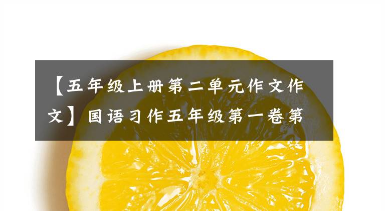 【五年级上册第二单元作文作文】国语习作五年级第一卷第二单元习作整理摘要