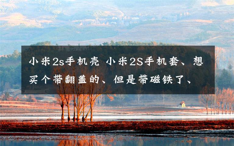 小米2s手机壳 小米2S手机套、想买个带翻盖的、但是带磁铁了、在正面 对屏幕好吗